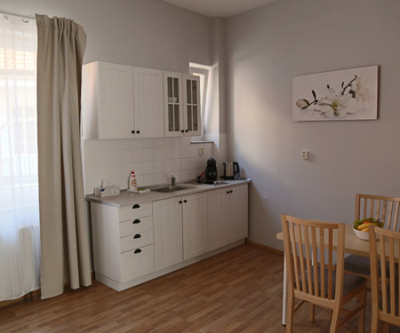 Modern 2BR apartment near Karlovo Náměstí