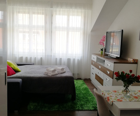 Apartamento para arrendar  - Prague 5 - Smichov