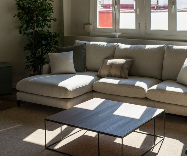 Big apartment with terras, Calle del Hospital 1.28