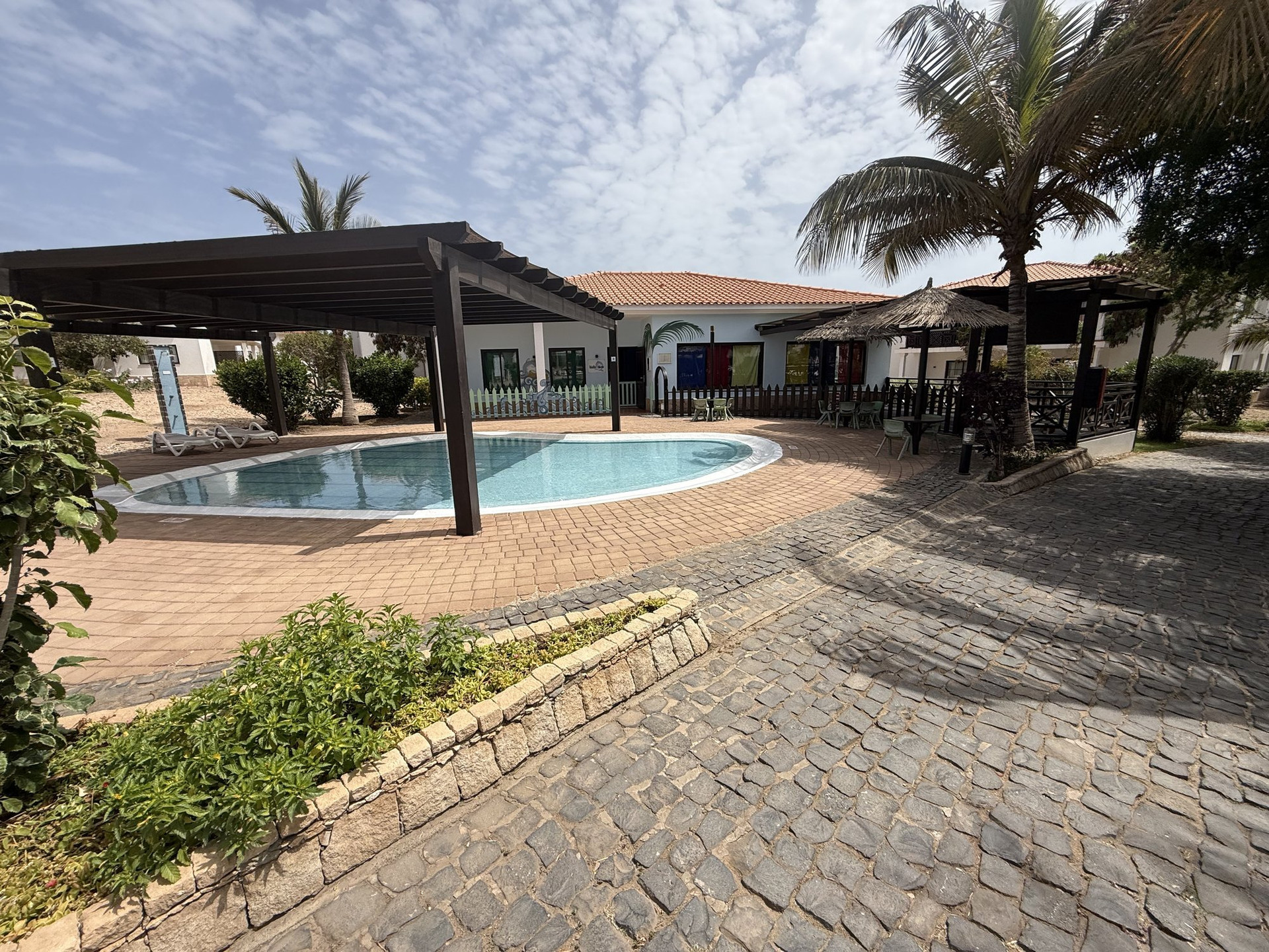 Outdoor pool with palm trees