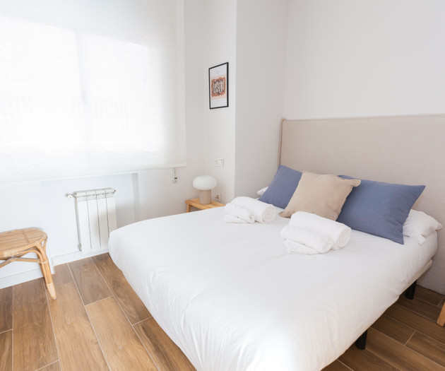 Exclusive cozy Atocha apartment