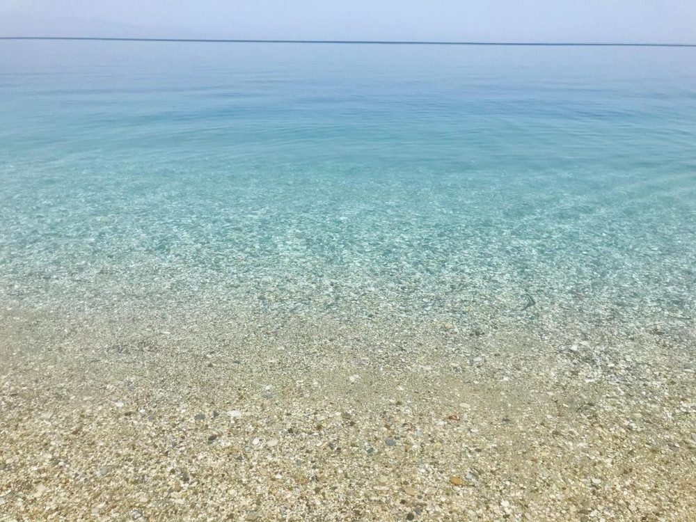 Image #82