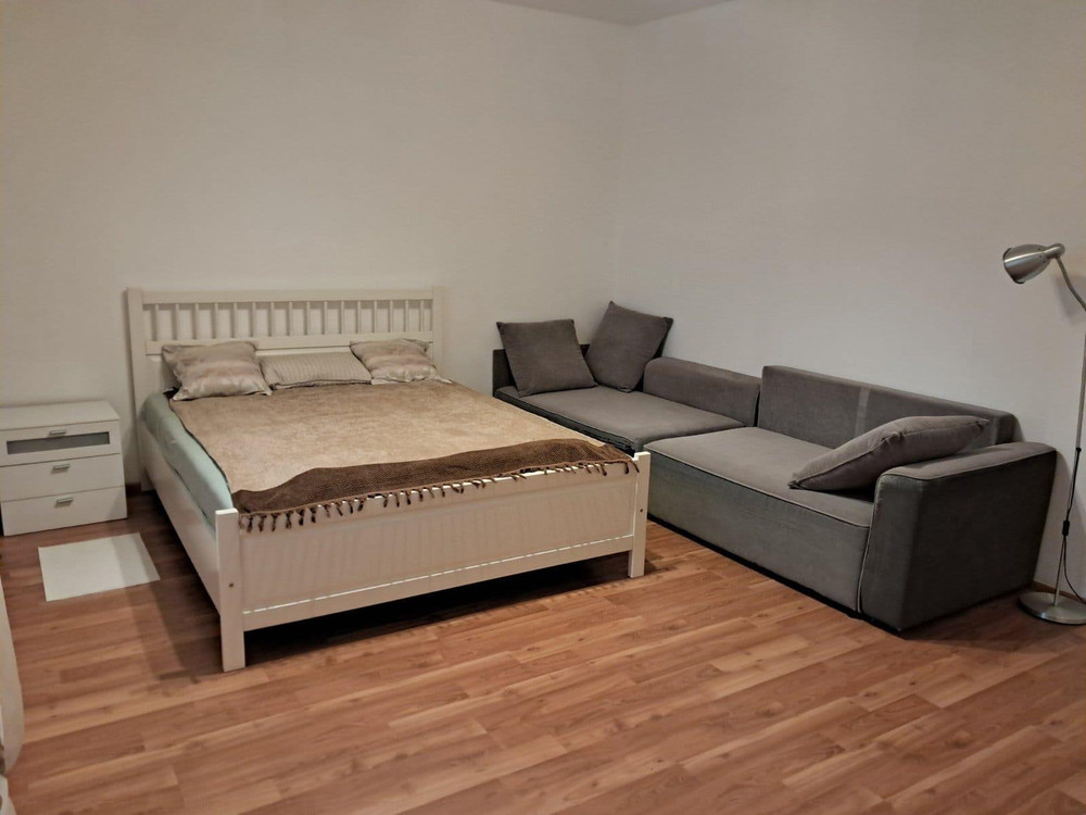 Modern Furnished 1 kk Apartment in Prague preview
