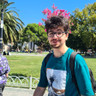 Matei V.