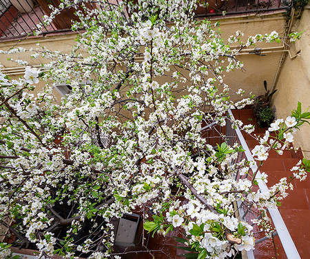 Beautiful flat In Gracia