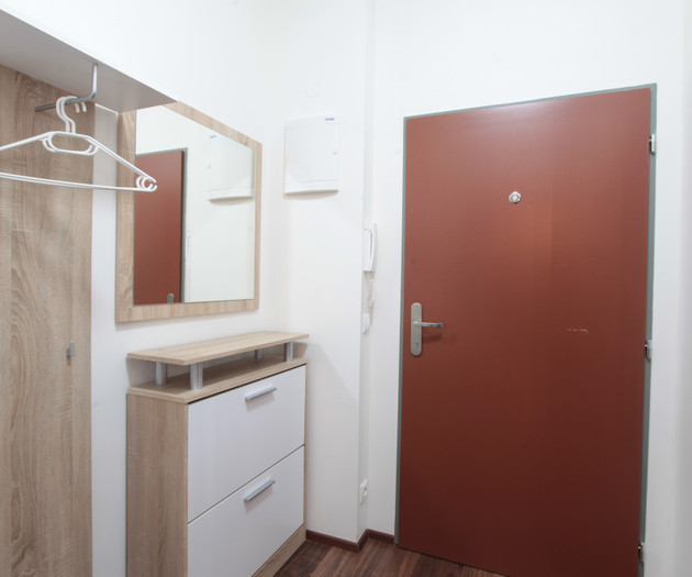 Apartment 1+kk, Prague - Vysočany, Freyova I.