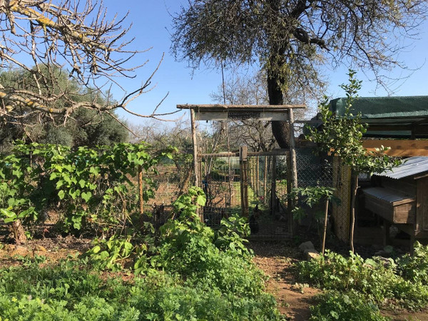 Jardín