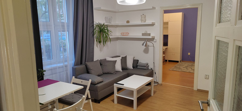 Cozy apartment preview