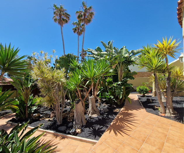Luxury villa near beachfront in Caleta De Fuste