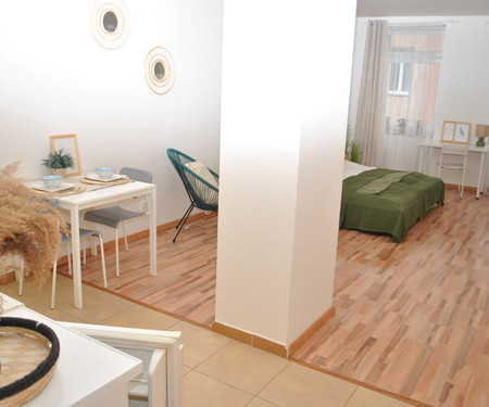 Separate sunny apartment near the centre of Brno