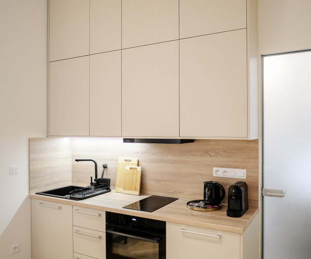 Designer Apartment in the Heart of Brno , 1+kk
