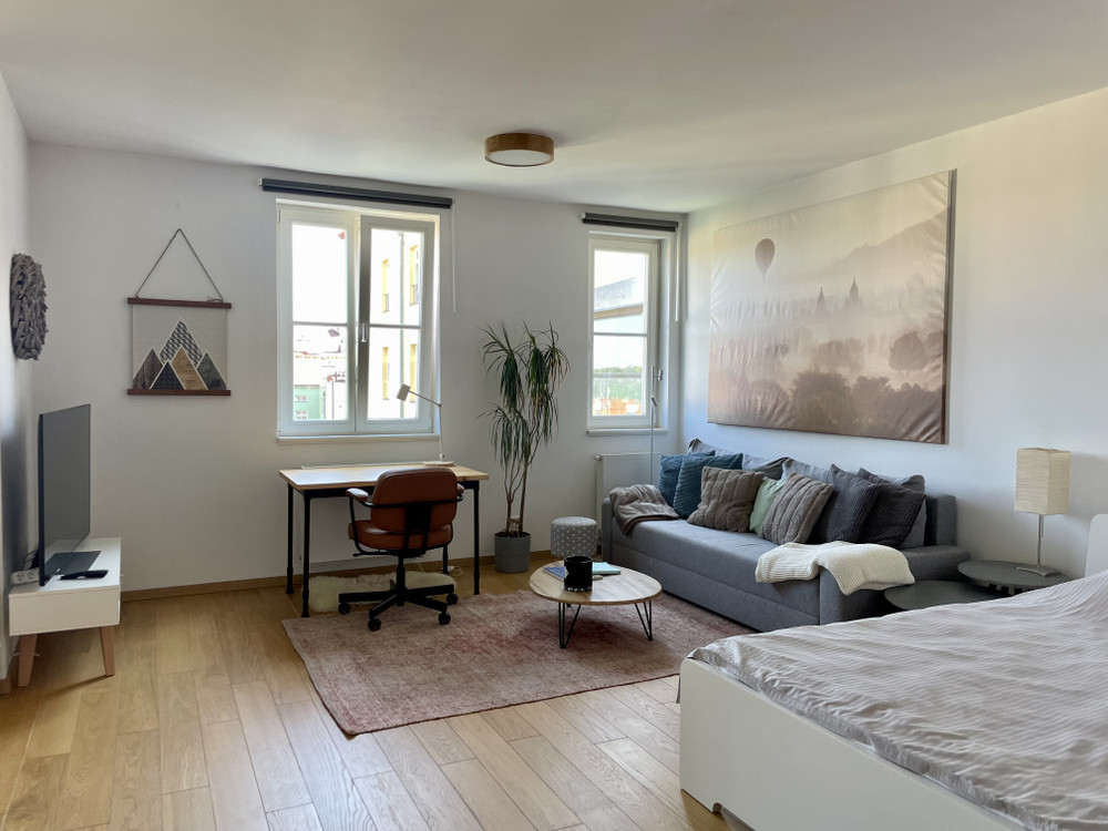 Sunny studio with balcony preview