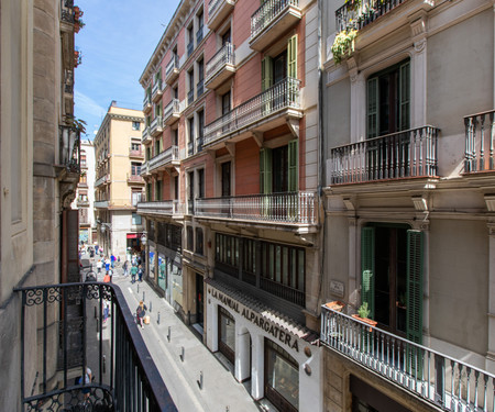 Historical apartment in Gótico AVP2