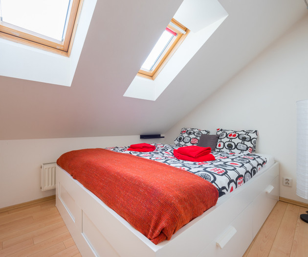 ROOF APARTMENT with TERRACE near WENCESLAS Sq.