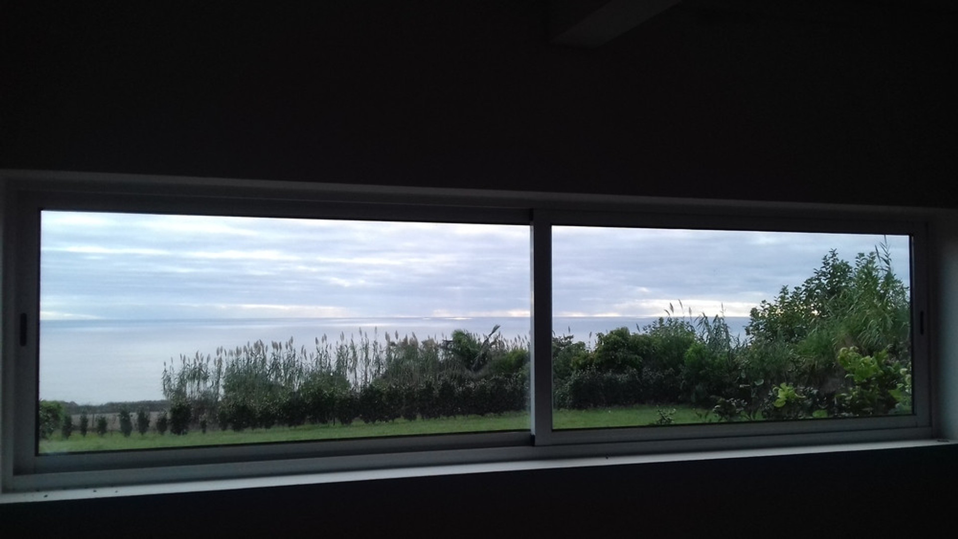view from the garden room