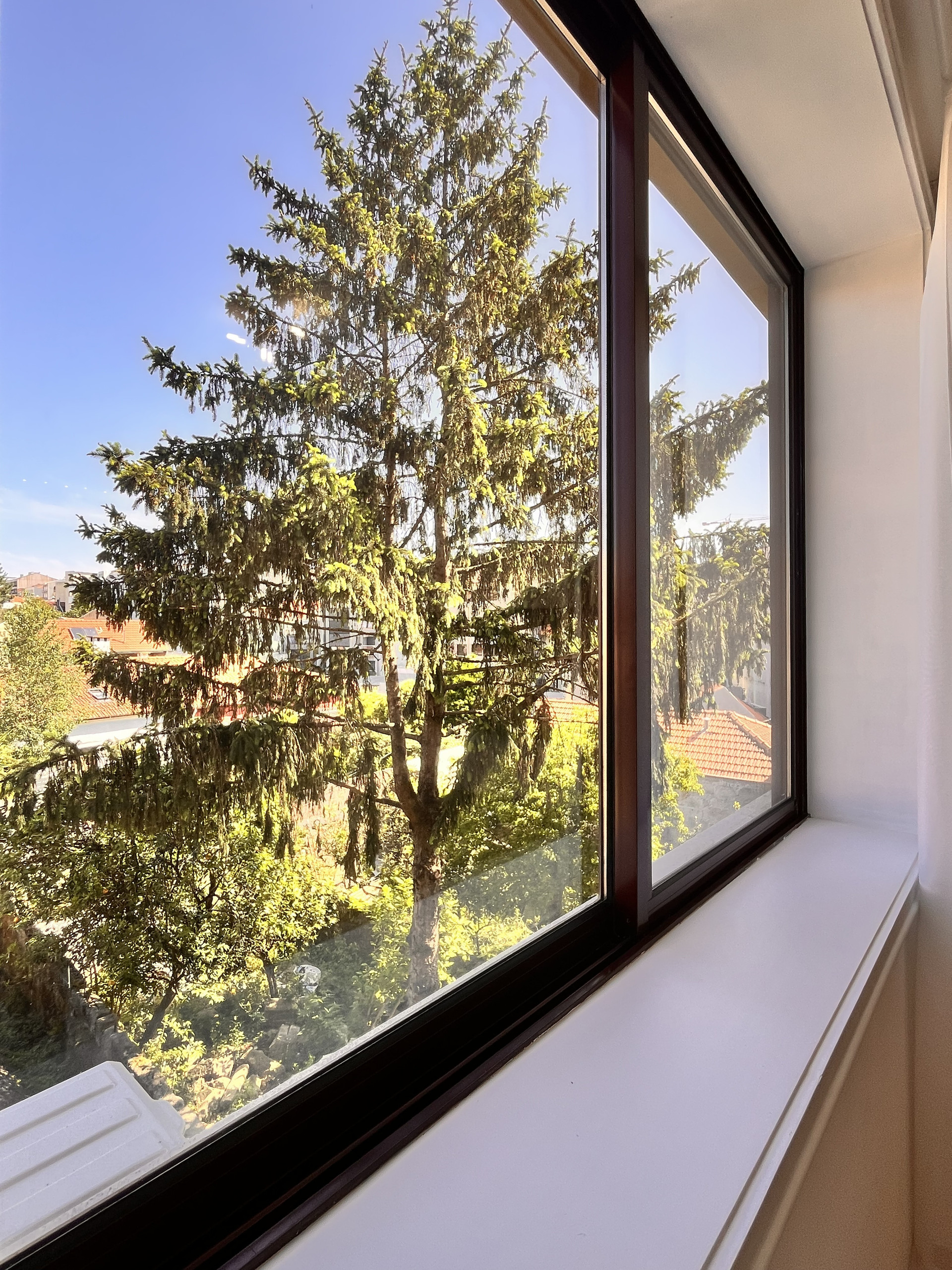 Window view