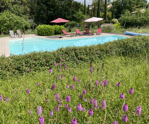 A wonderful studio surrounded by vineyards