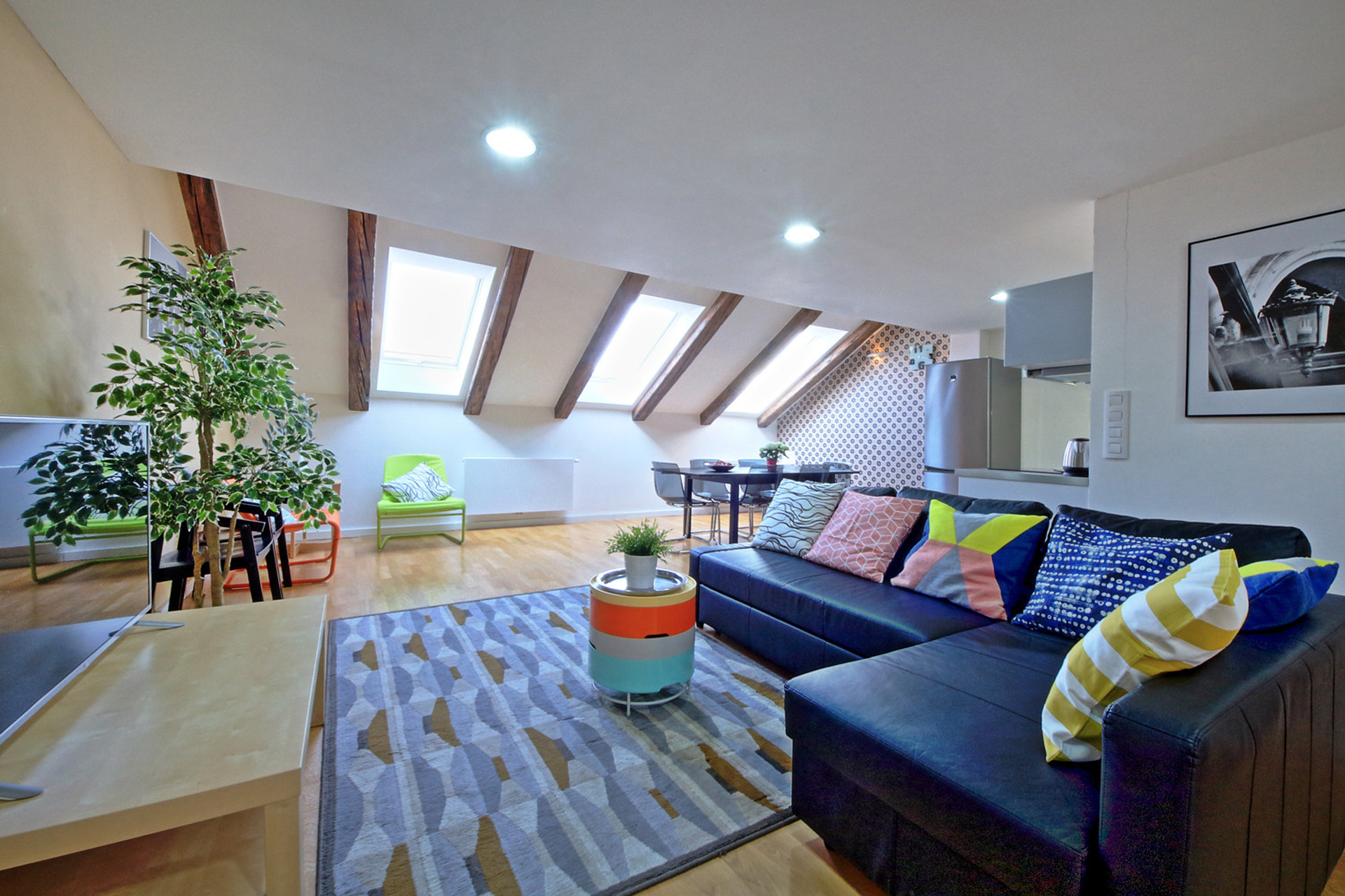 sunny and bright attic apartment