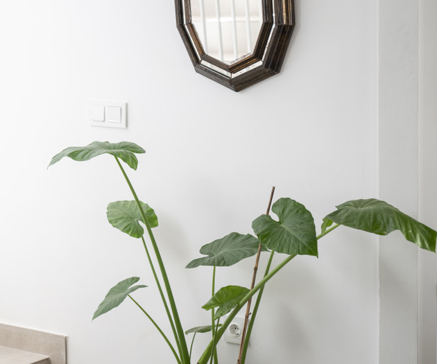 Apartamento con Terraza Albaycin