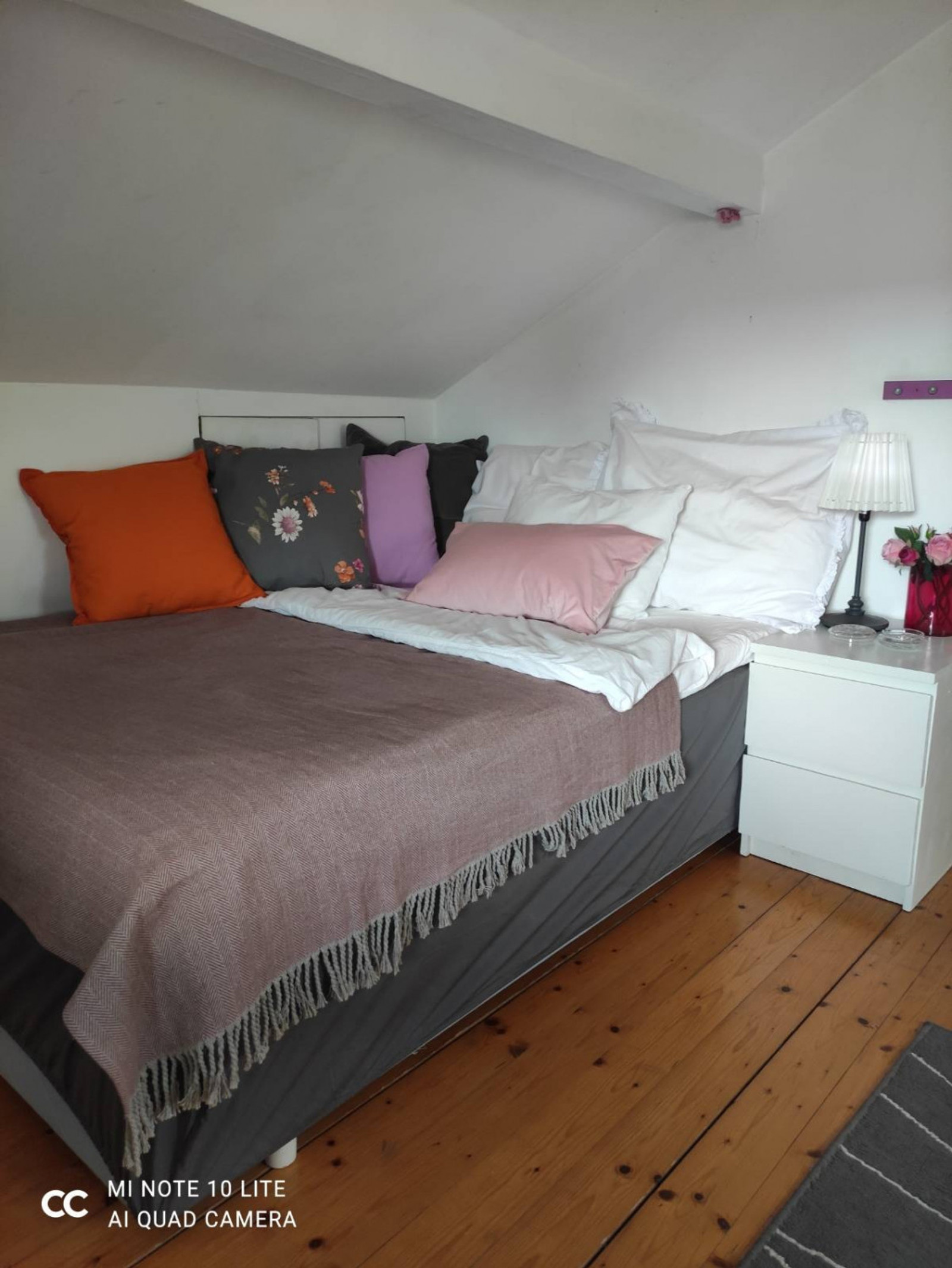 Lovely cosy room in green area for females only