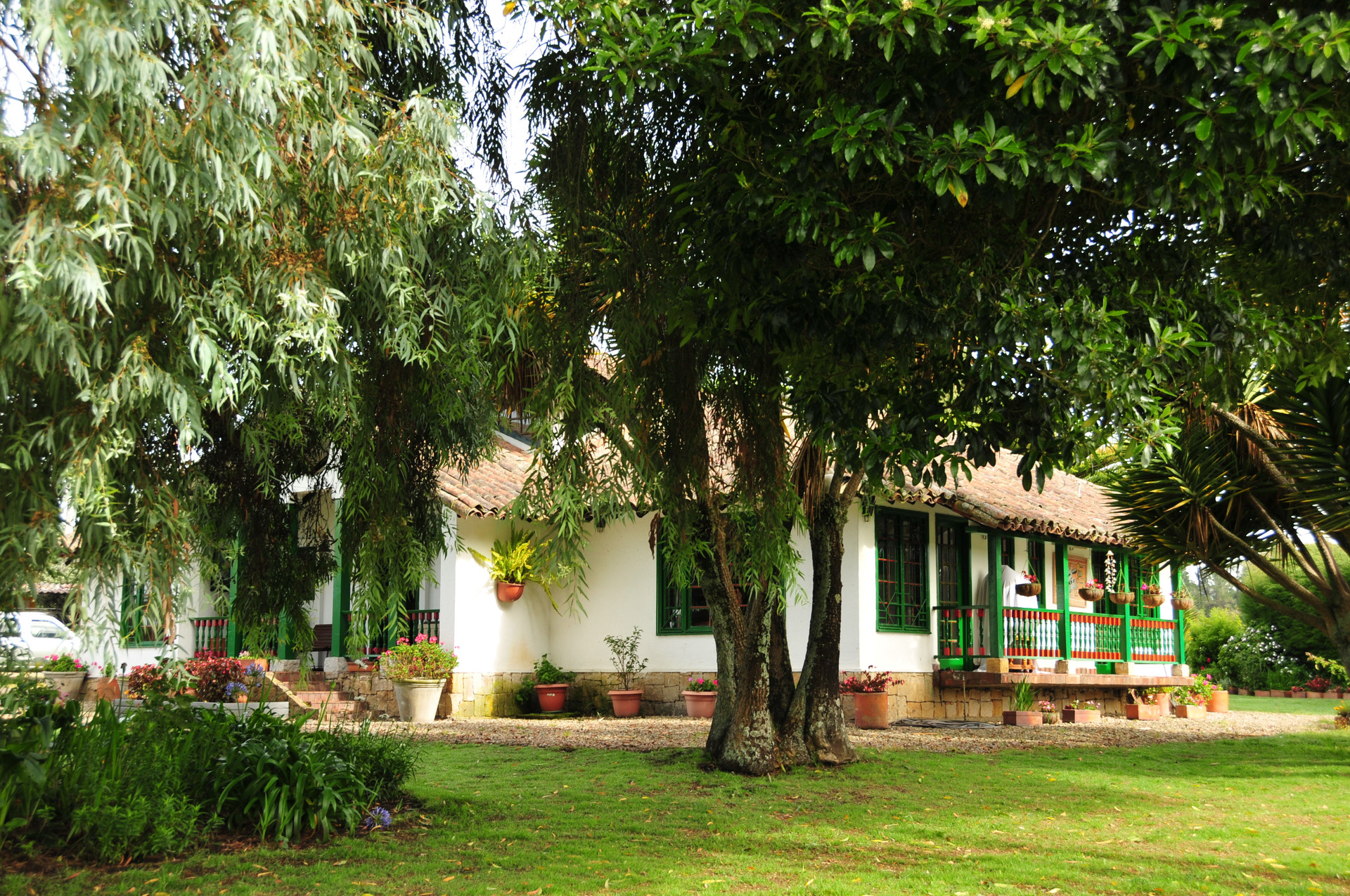 front yard