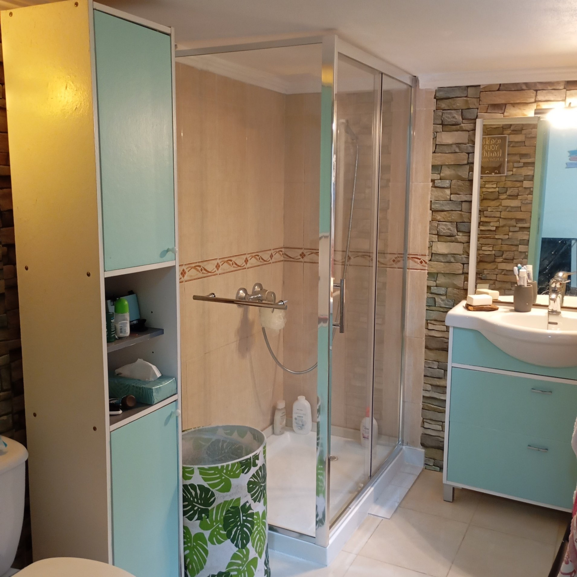 Bathroom shower and sink area