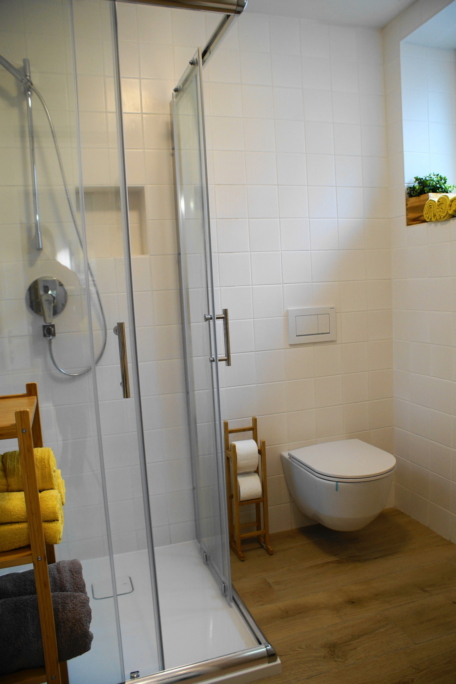 Bathroom shower and toilet