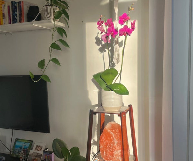 1 Bed Flat in the heart of London