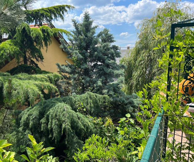 Balcony view with lush greenery