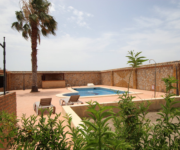 Pool corner with greenery