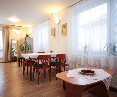 New apartment with terrace near the center, Prague