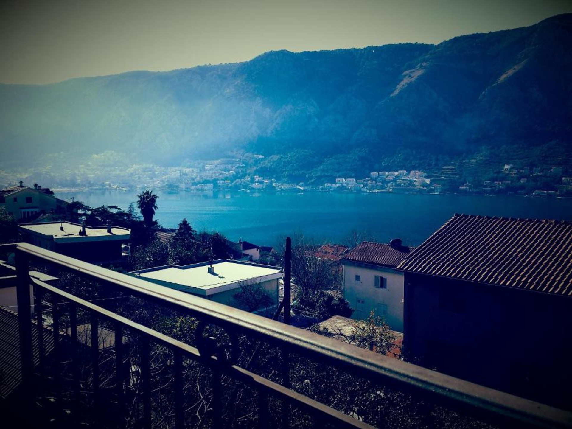 view