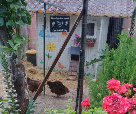 Studio apartment on a farm in Sicily