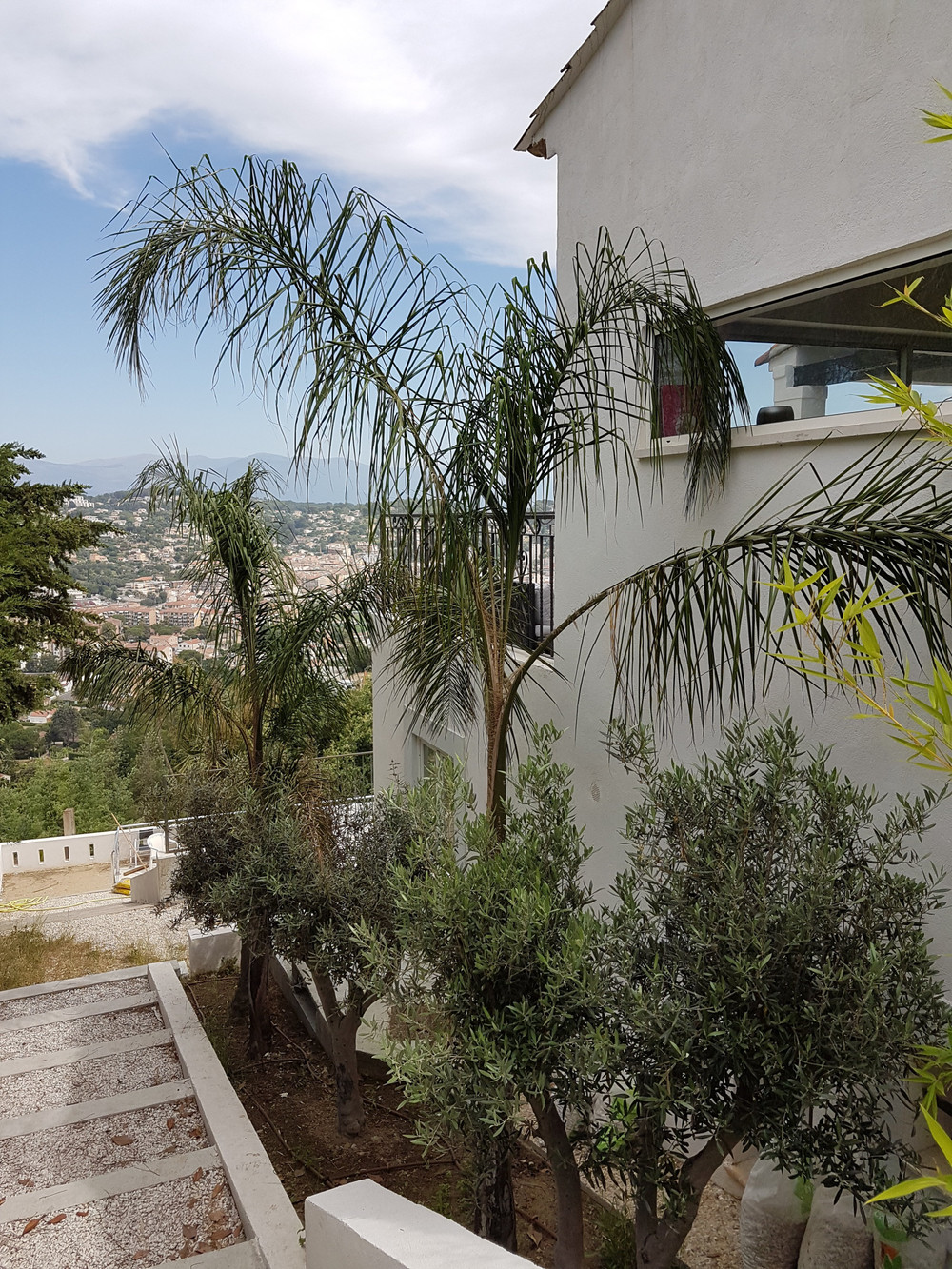 Image #12