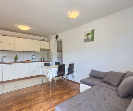 Apartman Ližnjanska cesta