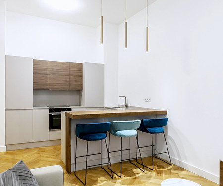 Brand new bijou apartment in the city centre