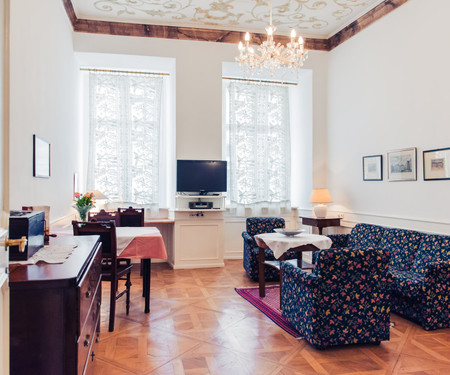 Apartment in downtown Vienna