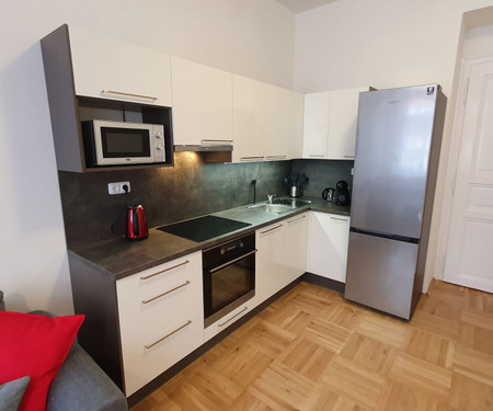 Brand new 2 bedroom apartment in the city center