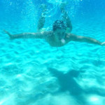 Landlords profile photo