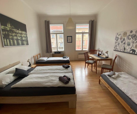 Flat for rent - Prague 1 - Vinohrady