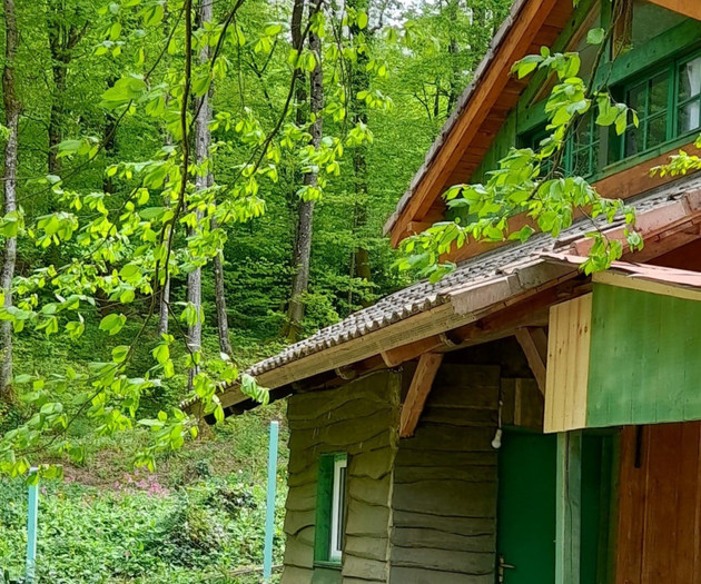 Holiday home "Green Hut"