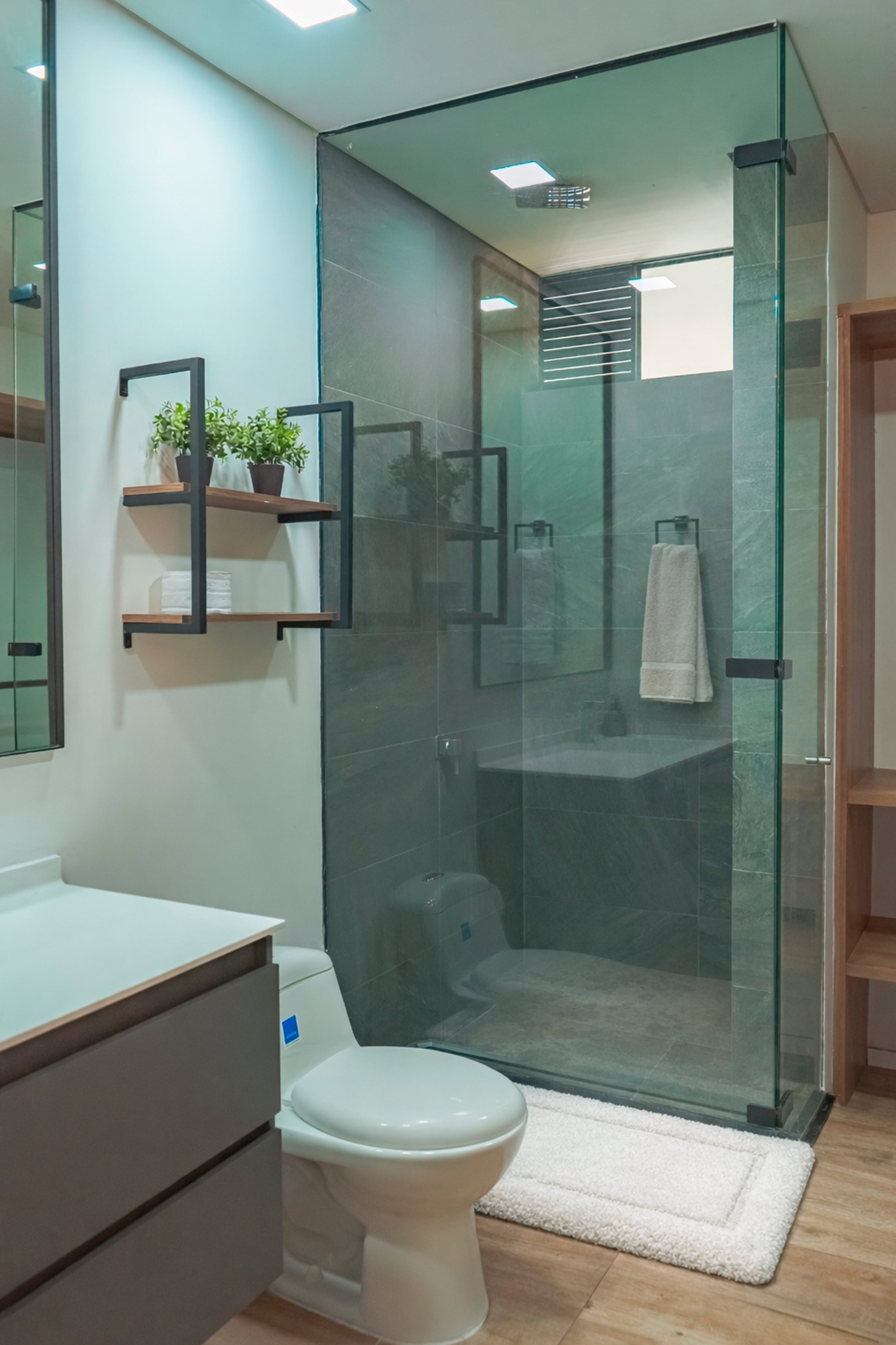 Glass shower and toilet