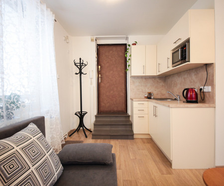 New apartment with terrace near the center, Prague