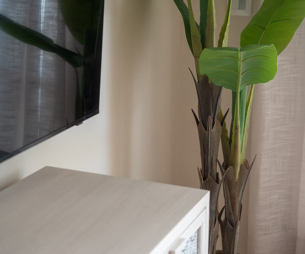 Decorative plant and dresser