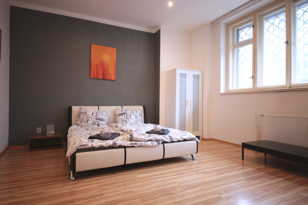 Spacious apartment in Karlin, Prague 8 preview