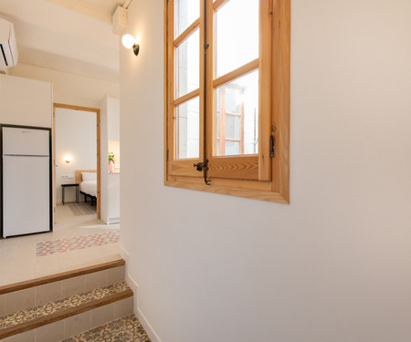 CHEERFUL APARTMENT WITH TERRACE IN GOTHIC QUARTER