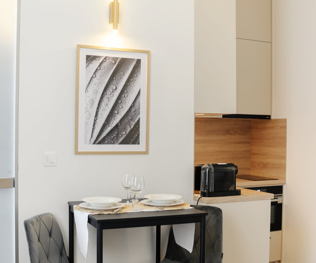 Luxury City Center Apartment 1+kk