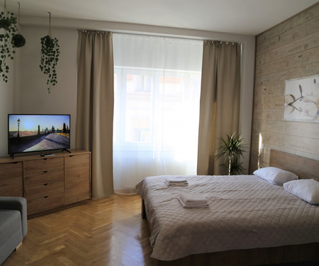 Spacious and sunny 2BR apartment Karlovo Náměstí