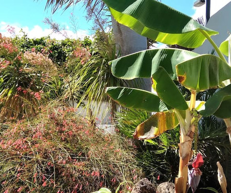 Sunny Garden Apartment in Lanzarote