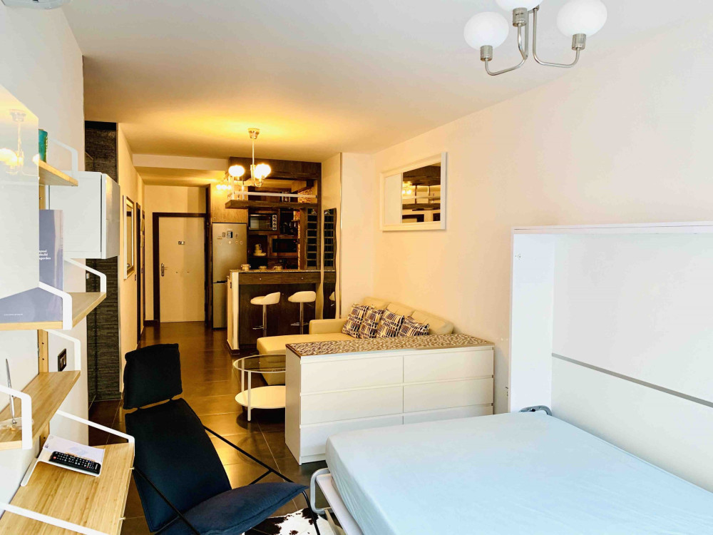 This beautifully decorated apartment is modern, br preview
